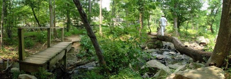 Bridge over stream None