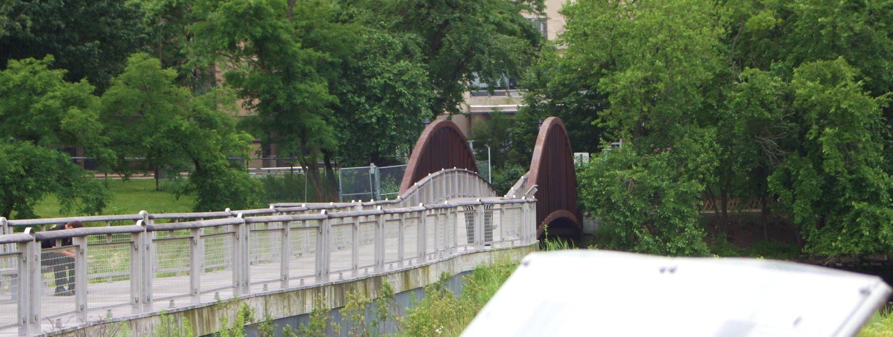 Bridge over wetlands None