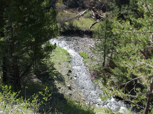 Briggs Creek None