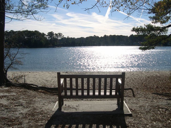Broad Bay View None
