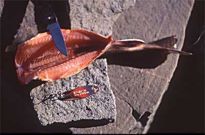 Brook trout in Grizzly Lake have red meat. None