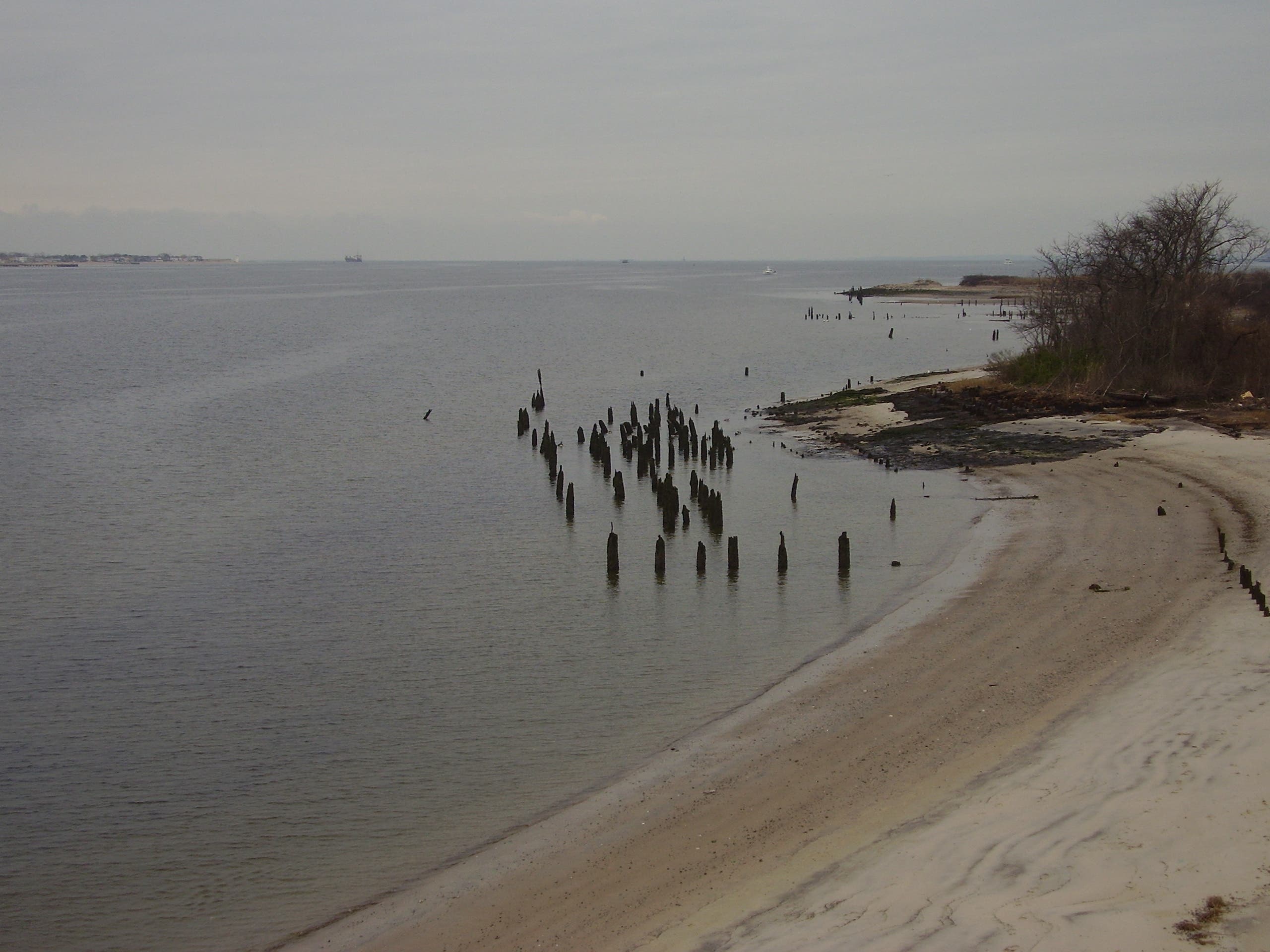 Brooklyn Shoreline None