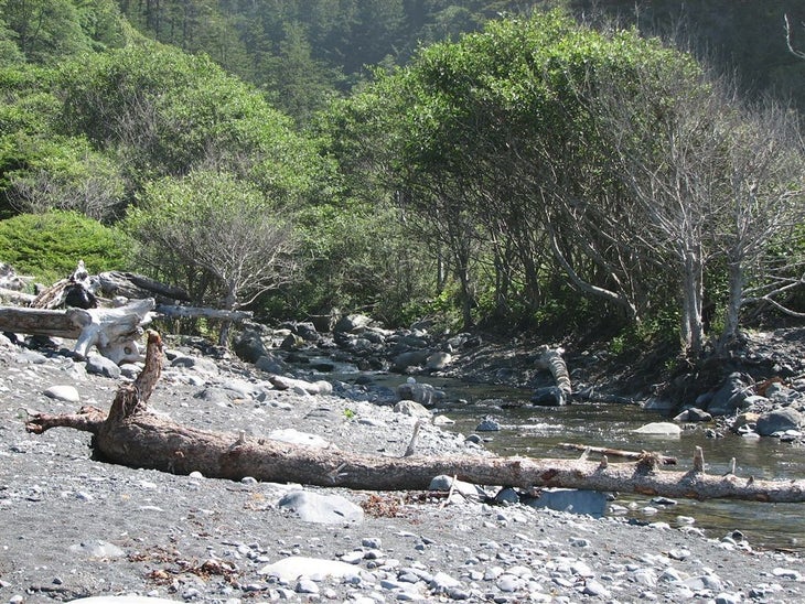Buck Creek None