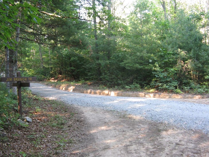 Buck Forest Road Intersection None