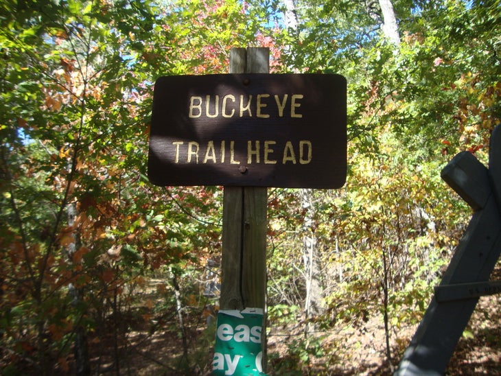 Buckeye Trailhead None