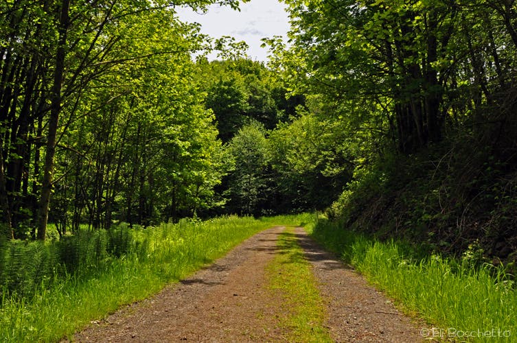 Burlington Trail None