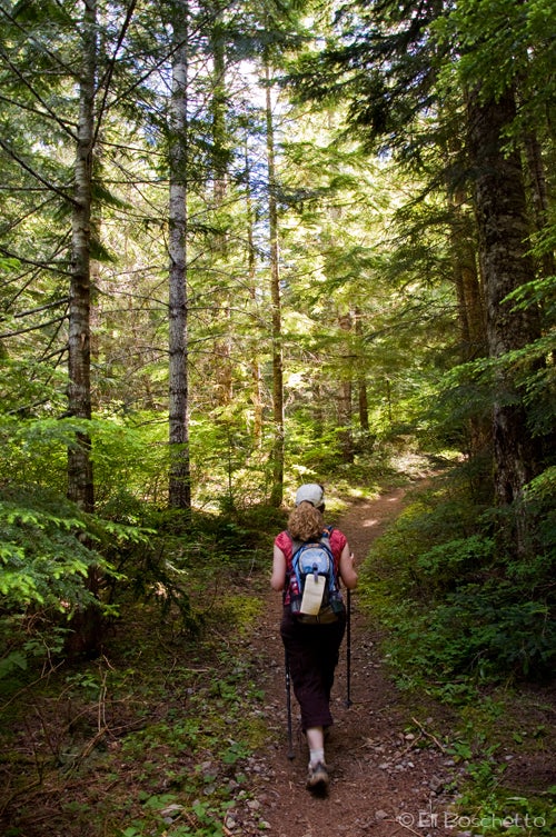 Burnt Lake Trail None