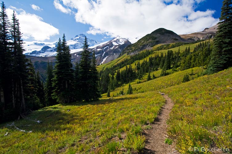 Burroughs Mountain Trail None