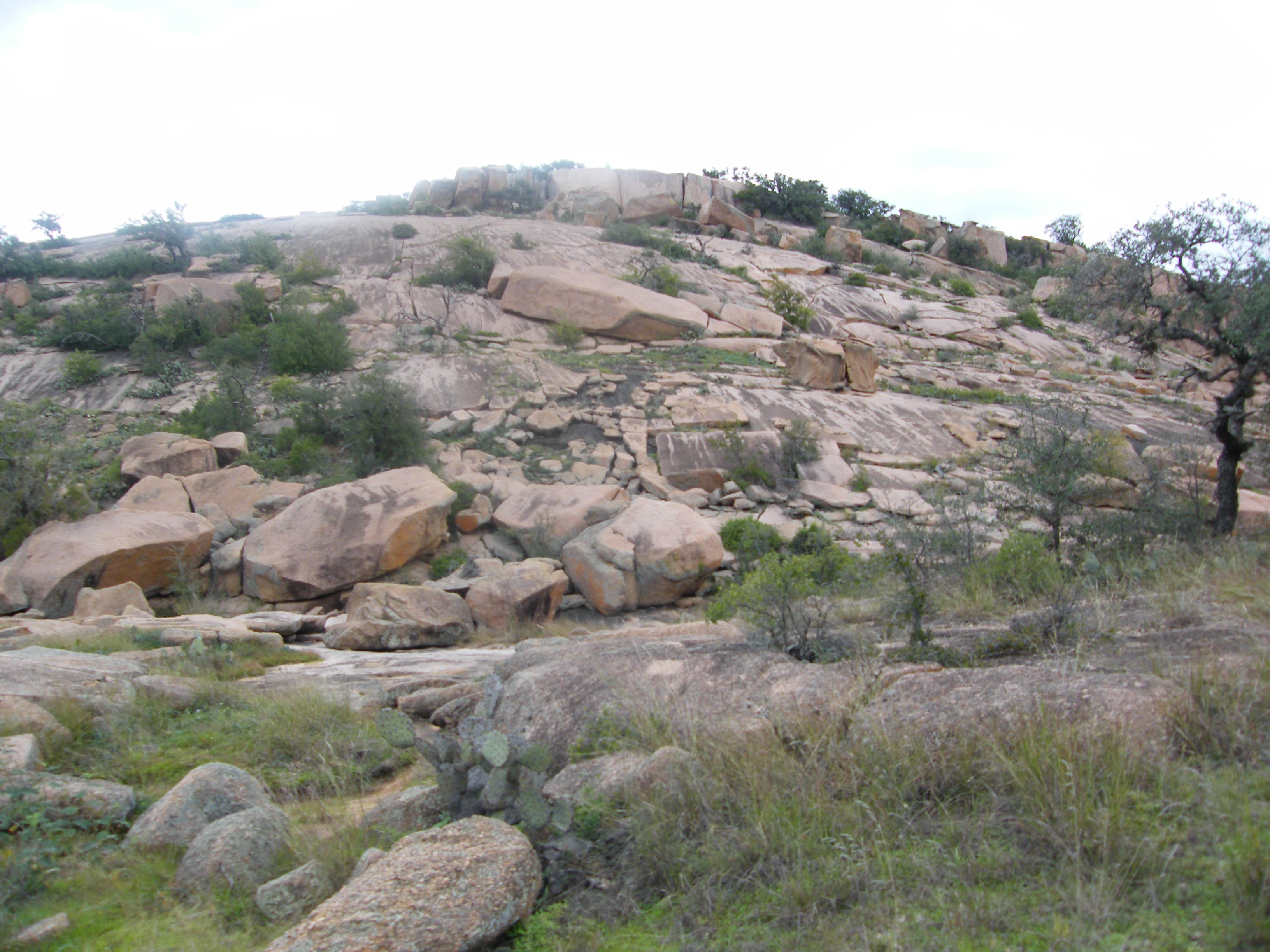 Buzzard's Roost None