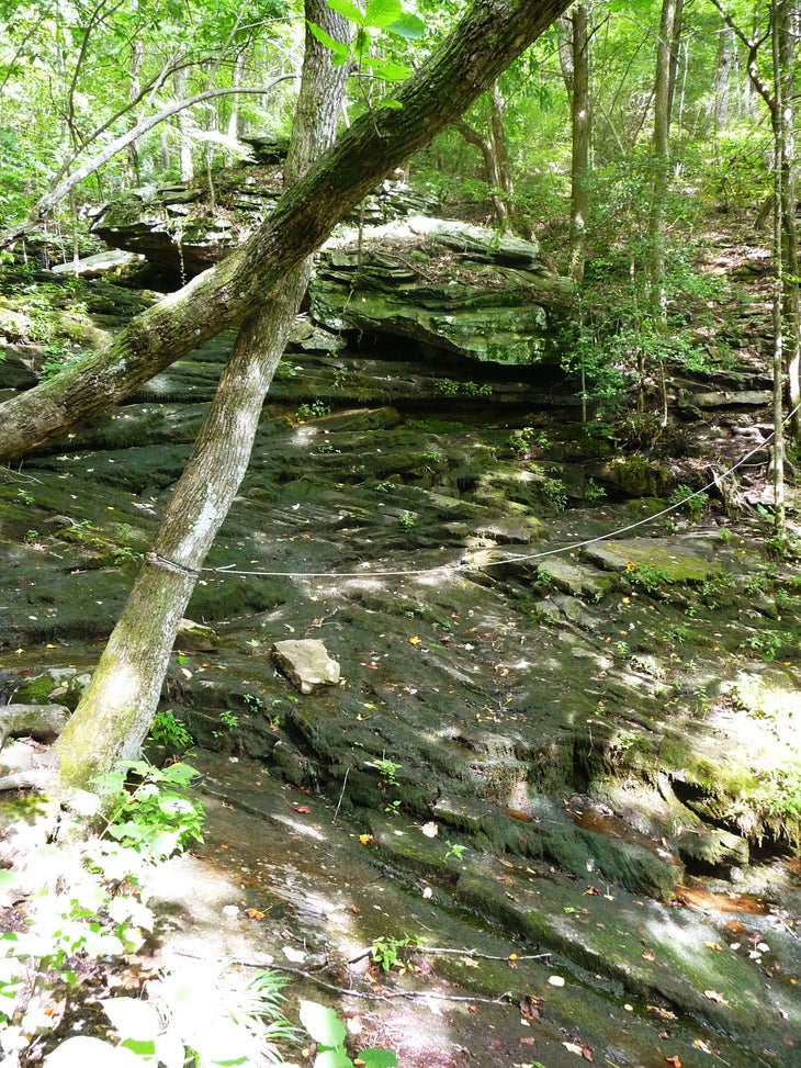 Chattanooga, TN: North Chickamauga segment of Cumberland Trail