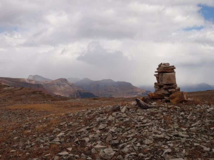 Cairn leads the way None
