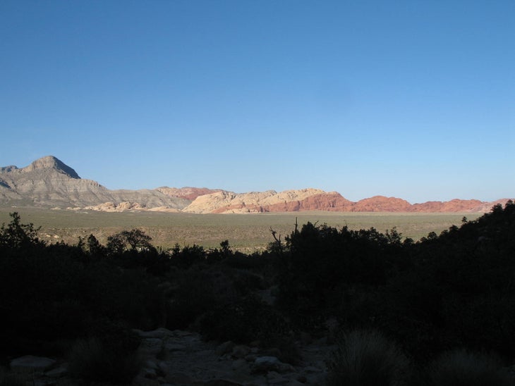 Calico Hills None