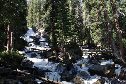 Calypso Cascades None