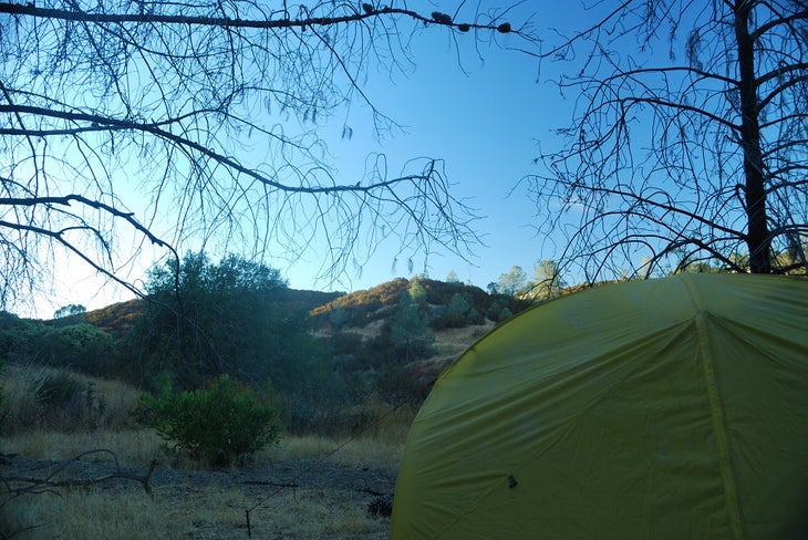 Camp None