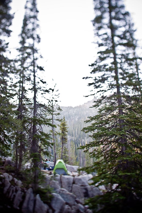Camp None