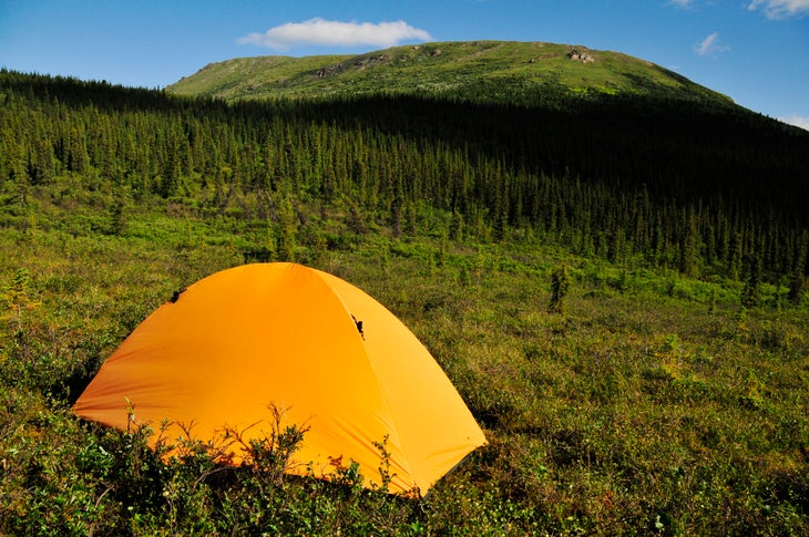 Camp None
