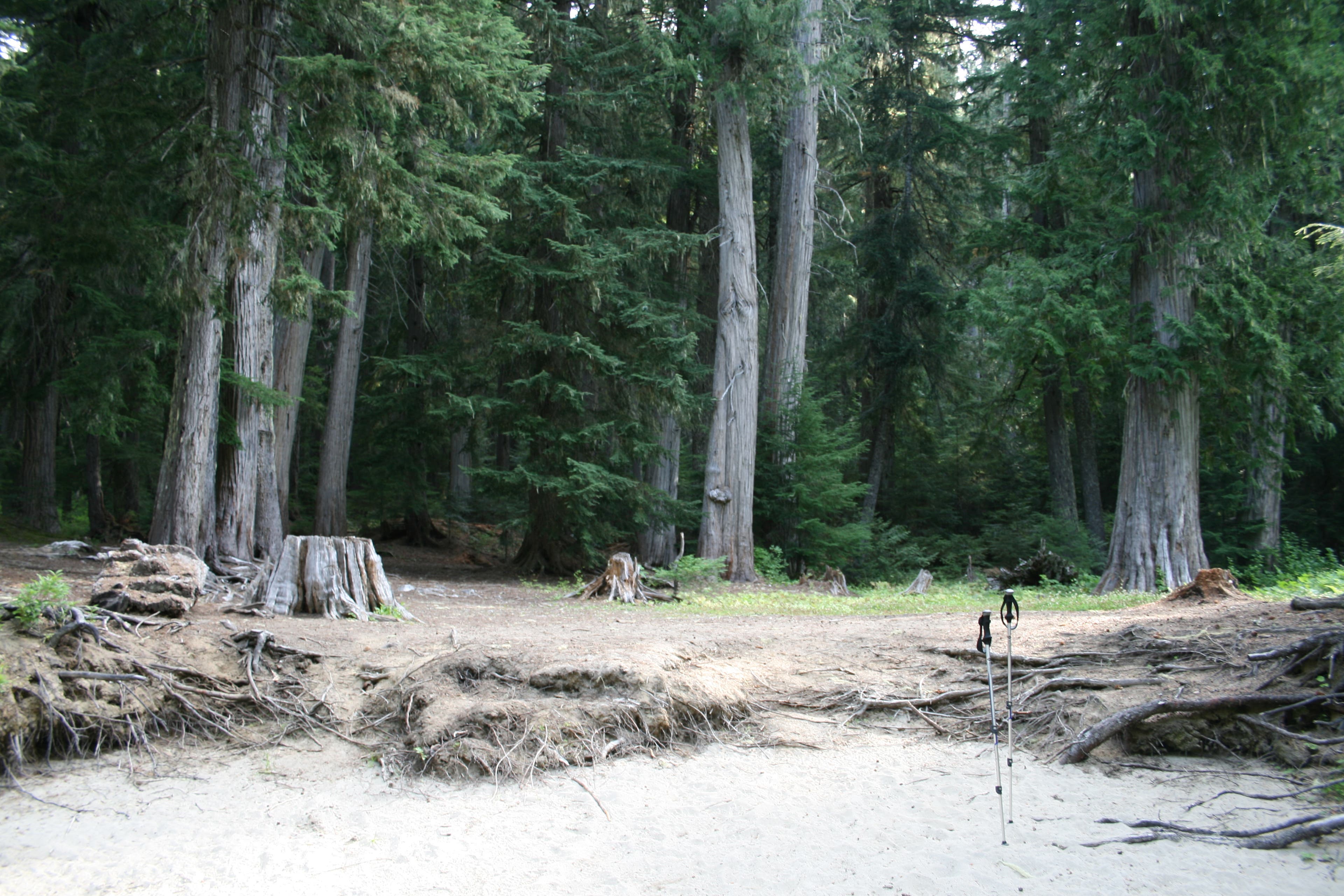 Camp at Leland Creek Crossing None
