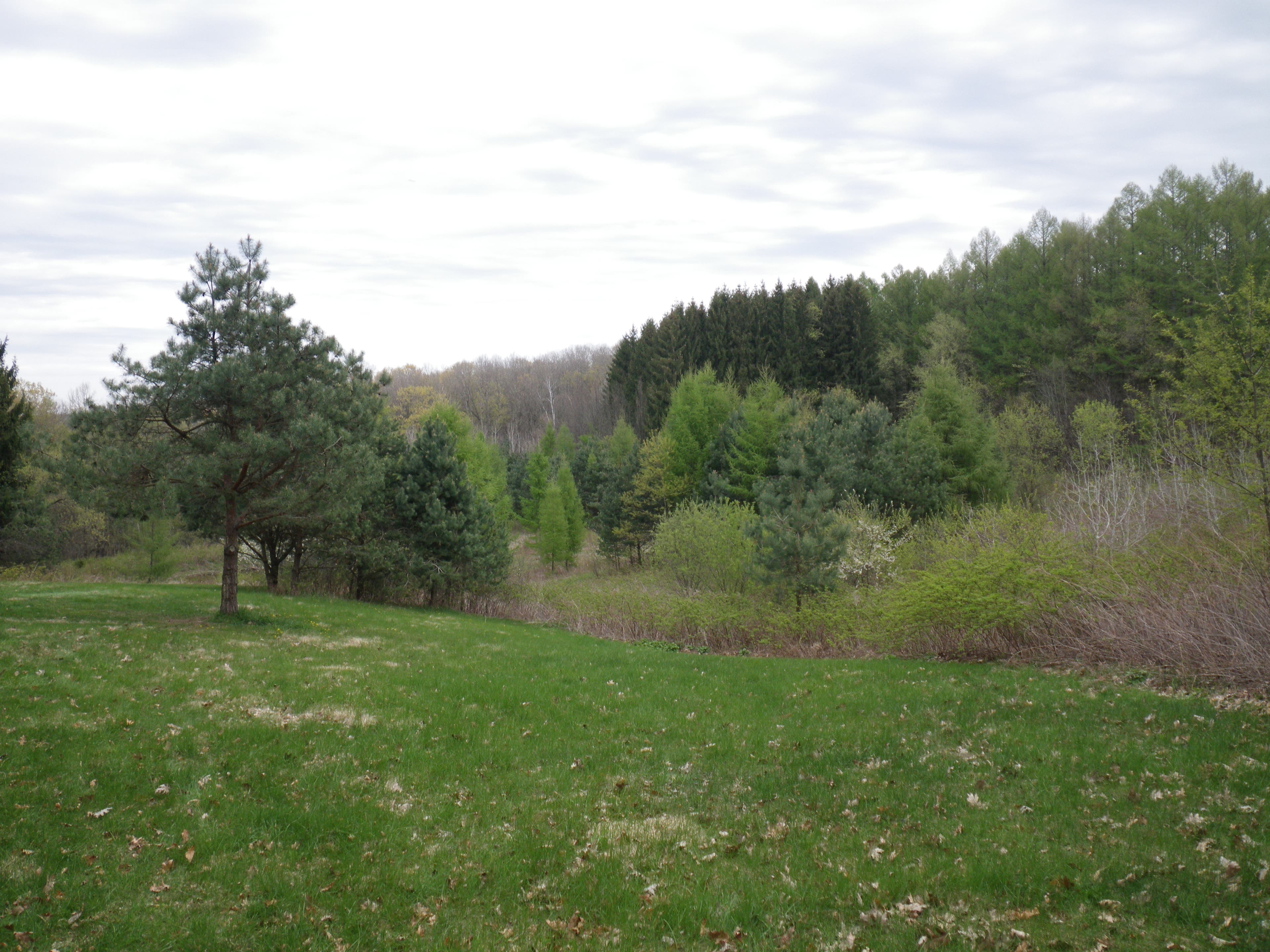 Camp Glen Wendel None