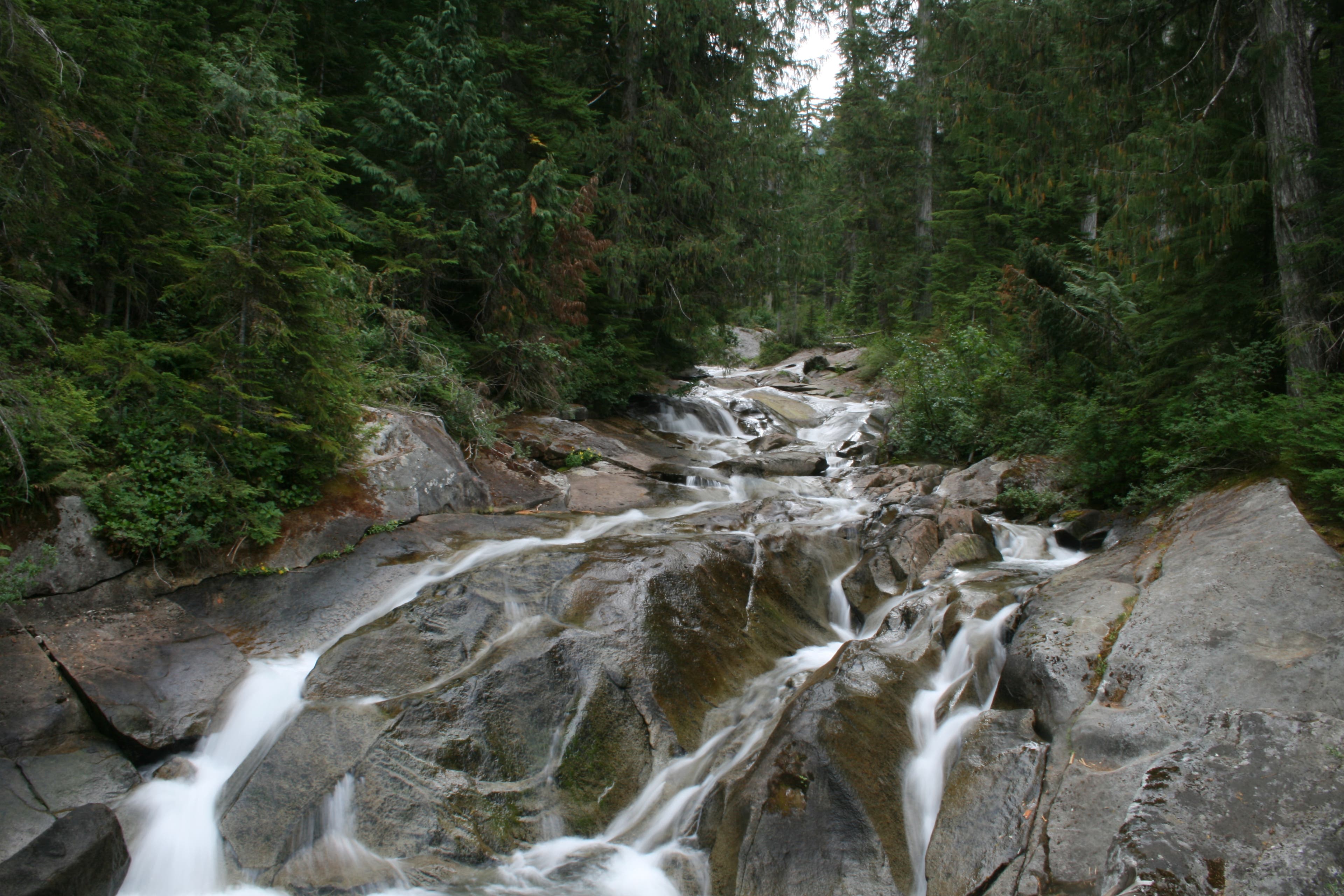 Camp Robber Creek None