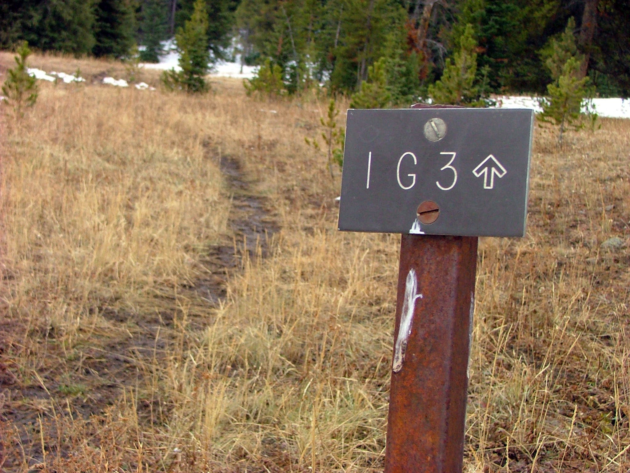 Campground Sign None