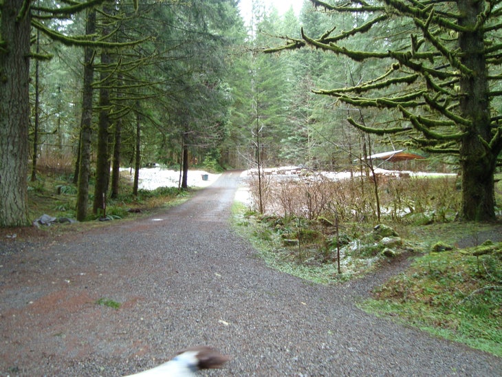 Campground None