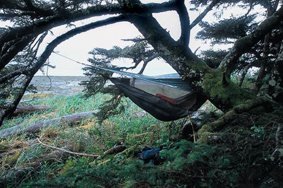 Camping near Calvin Creek None