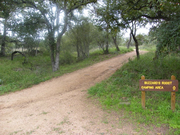 Camping None
