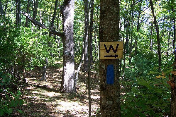 Campsite None