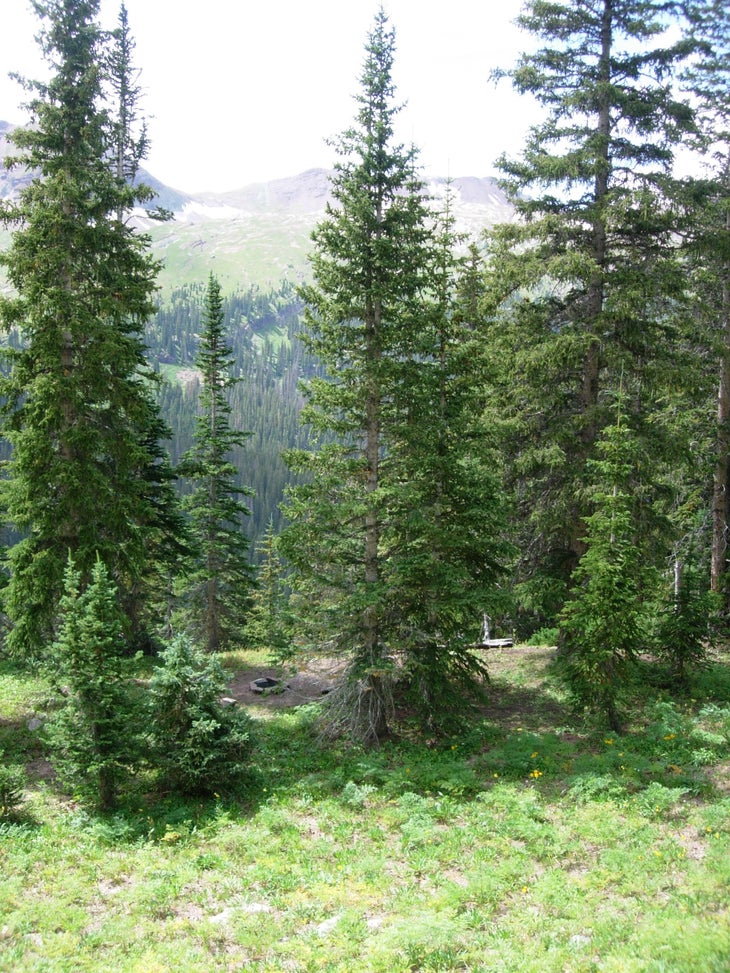 Campsite None