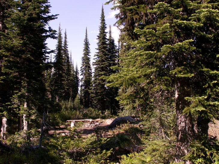 Campsite None