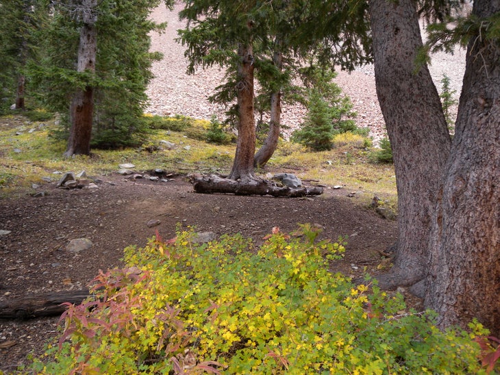 Campsite None