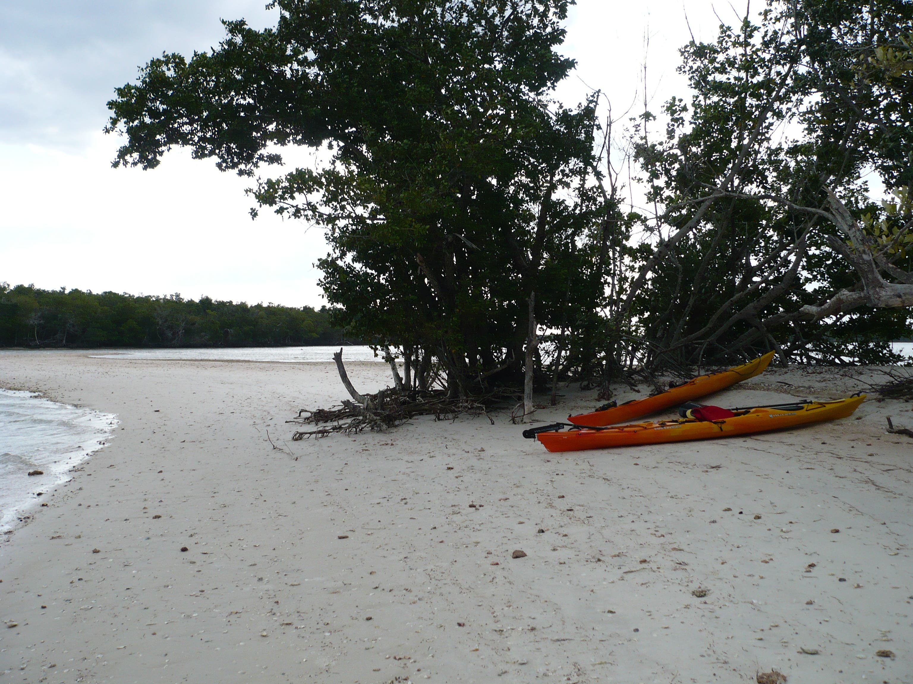 Little Rabbit Key Campsite Everglades National Park: Ten Thousand Islands Loop