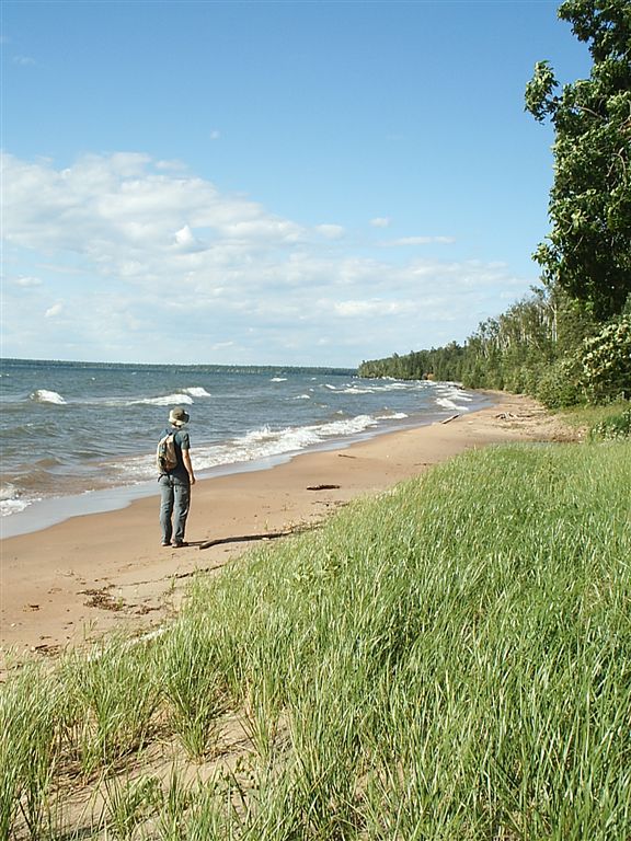 Campsite Beach None