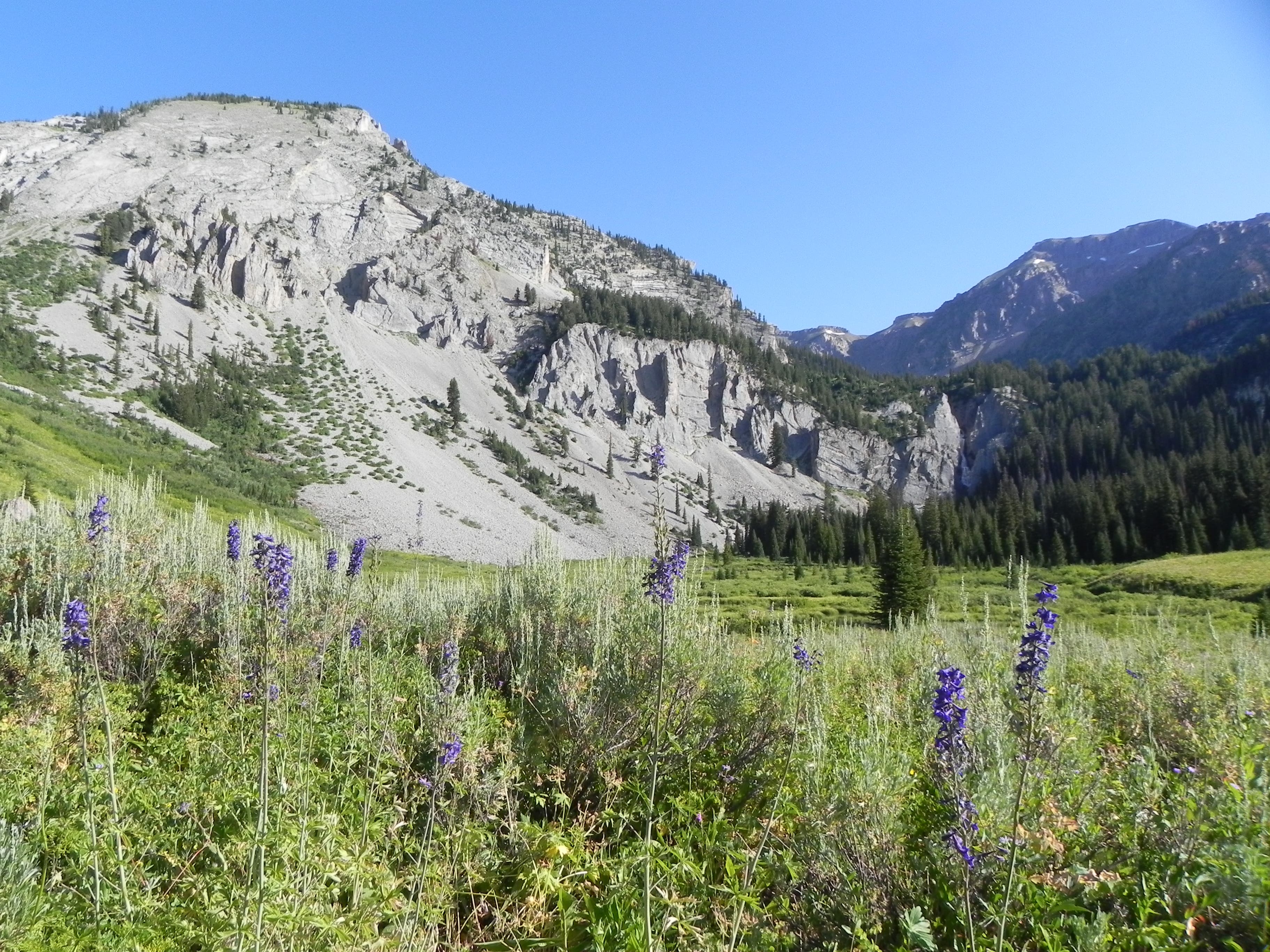 Campsite by Shoal Creek None