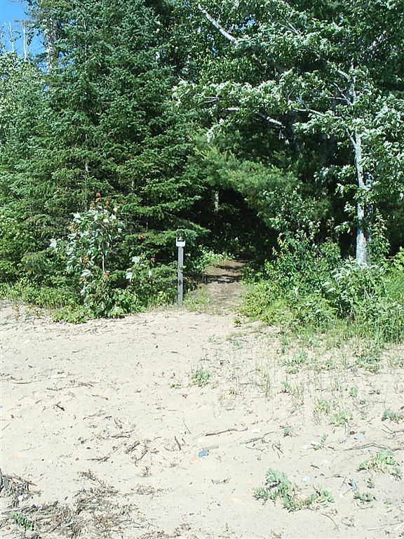 Campsite Trail None