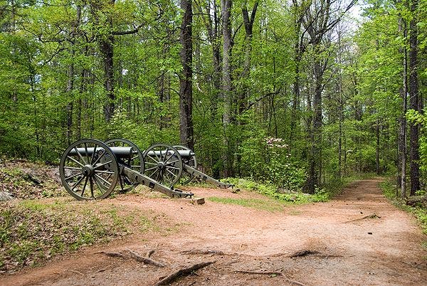 Cannons near Cheatham Hill None