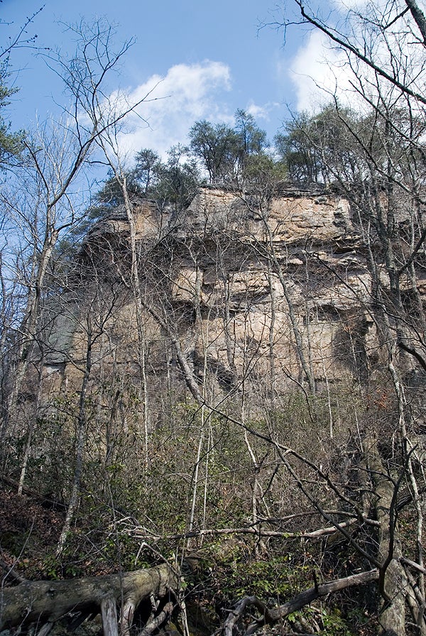 Canyon cliffs as seen from the River Trail. Tall crags surrounded by trees and blue sky along the trail to Desoto Falls.
