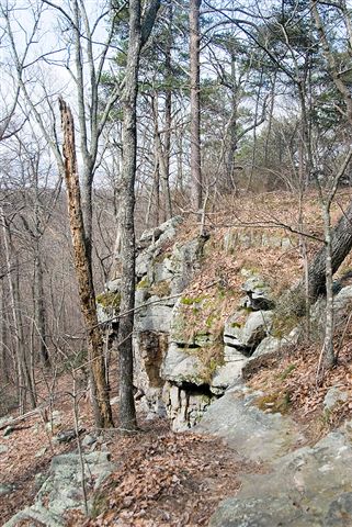 The Overlook Trail along the canyon rim. Rocky and leaf-strewn trail called the Overlook Trail.