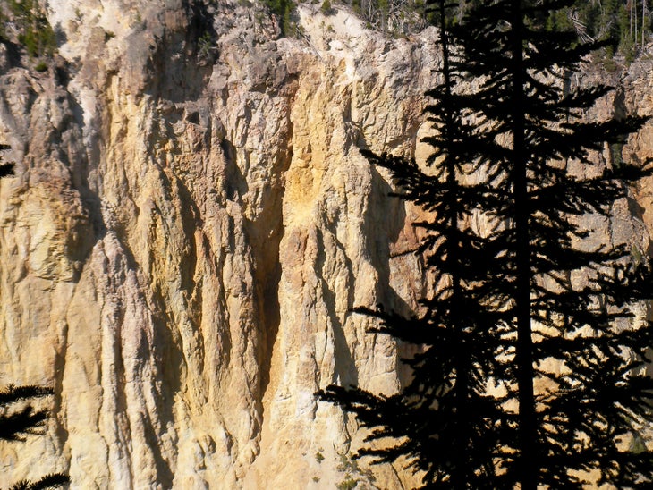 Canyon Walls None