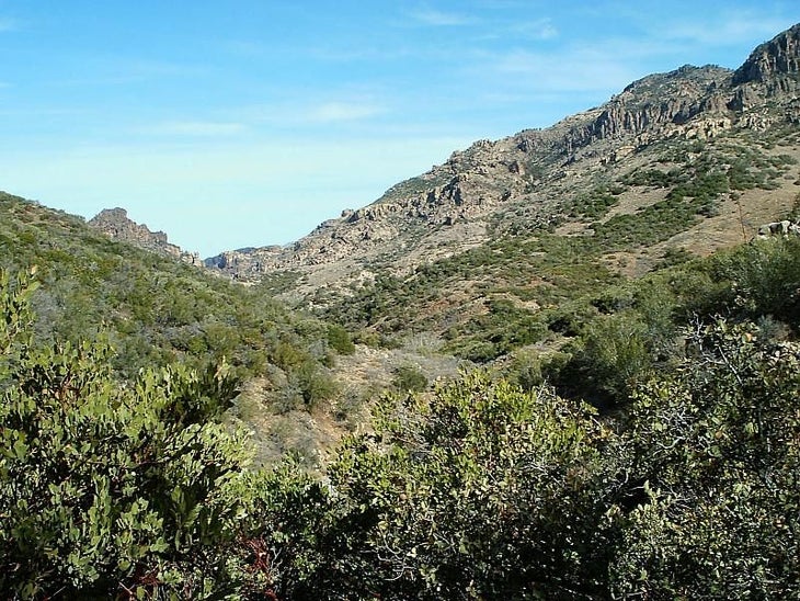 Canyon None