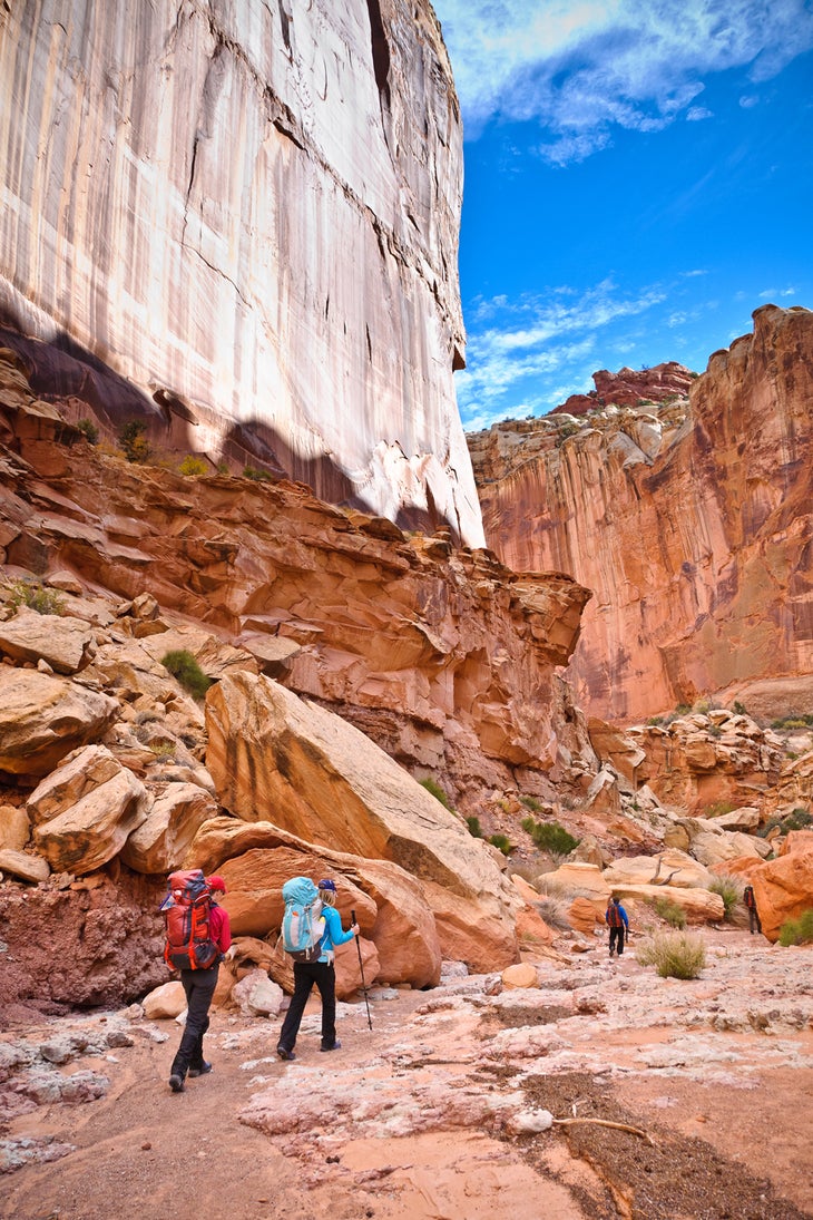 CANYON.jpg None