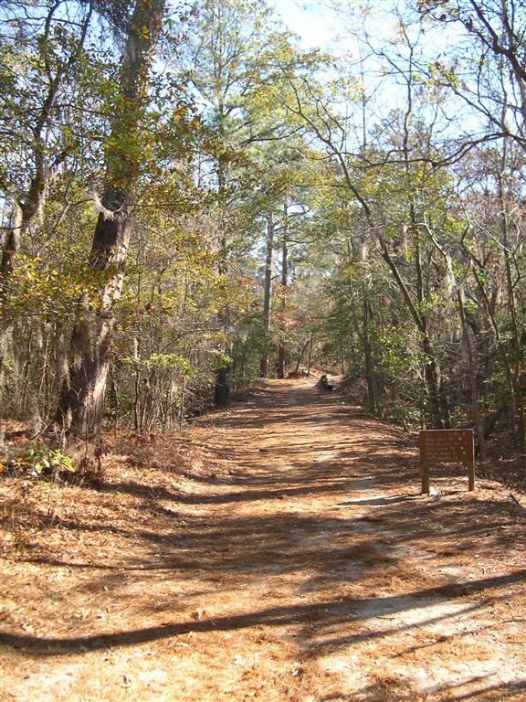 Cape Henry Trail None