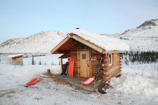 Caribou Bluff Cabin None