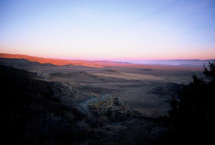Carrizo Plains None