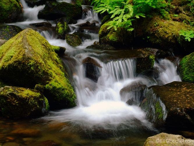 Cascades along Eagle Creek None
