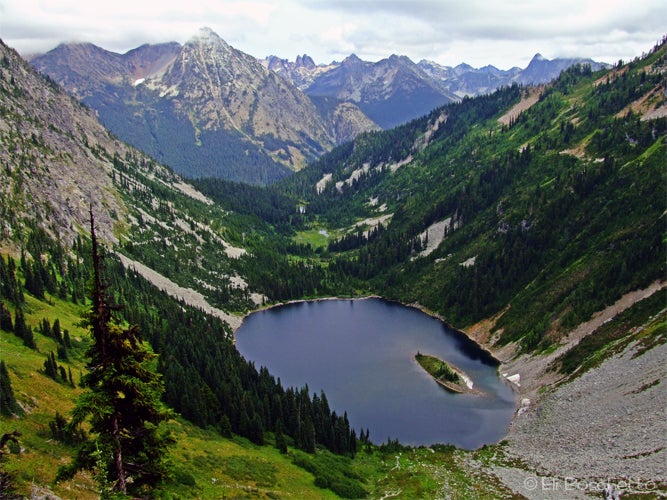 Cascades View None
