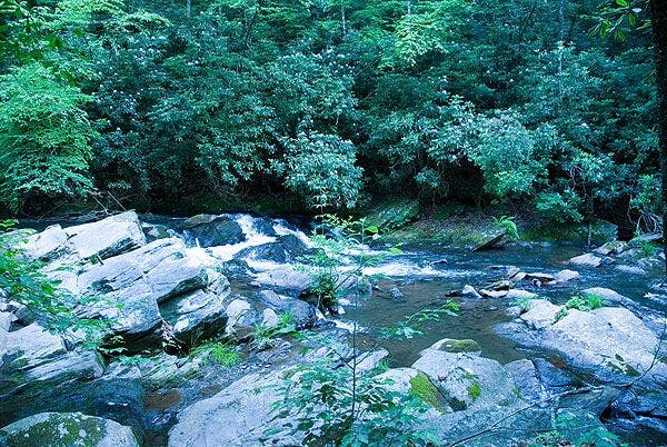 Cascading Rapids None