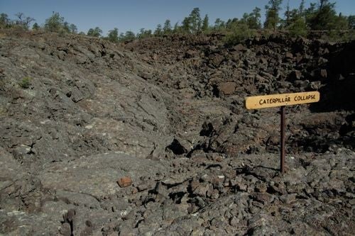 Caterpillar Collapse None