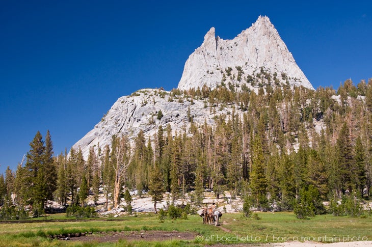Cathedral Peak None