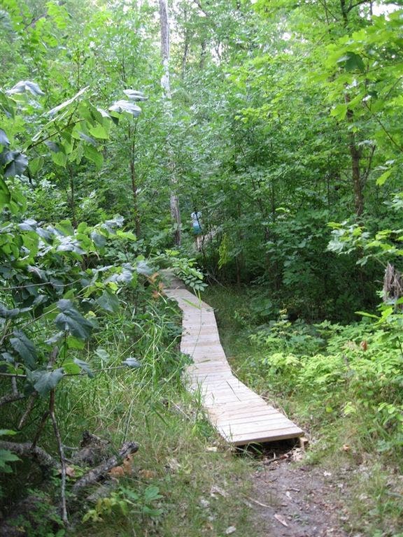 Catwalk over swamp These boardwalks will keep your feet dry through most of the trail, but prepare to get your feet wet.